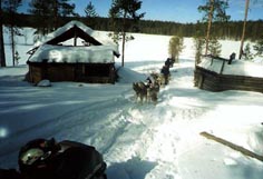 Osteuropa, Russland: Tschukotka - Mit Rentiernomaden durch die russische Arktis - Hundegespann