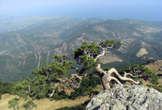 Ukraine / Krim: Naturwunder Krim – Vom Aj Petri zum Kara Dag - Ausblick auf einer Bergwanderung